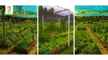 Horta Comunitária Vila Nancy (+) Parque Chácara das Flores | RC-UPPQ-0162-9008